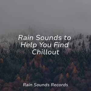 Rain Sounds to Help You Find Chillout - Bird Sounds