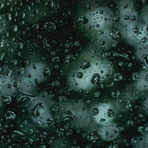 50 Powerful Rain & Nature Soundscapes for the Mind, Body and Spirit - Sleep Softly Records