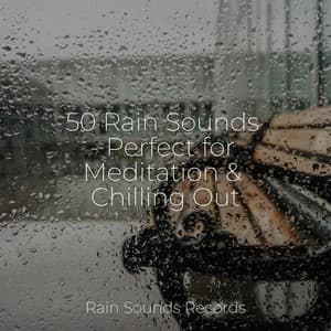 50 Rain Sounds - Perfect for Meditation & Chilling Out - Rain For Deep Sleep