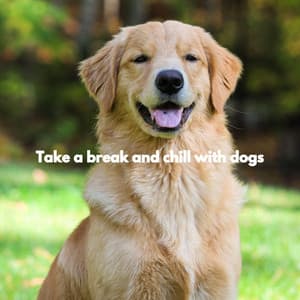 Take a break and chill with dogs - Musica para Estudiar