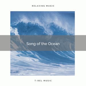 ! ! ! ! ! ! ! ! Song of the Ocean - Sea Waves Sounds