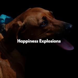 Happiness Explosions - Chilled Jazz Masters