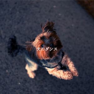 犬のダンス - Jazz Experience for Reading