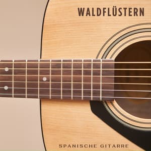 Waldflüstern: Instrumentale Gitarre - Spanische Gitarre