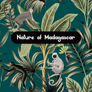 Nature of Madagascar - Listen the Sounds of the Rainforest and Exotic Animals Like Elephants, Monkeys, Parrots, Crocodiles and More - Natural Sounds Music Academy