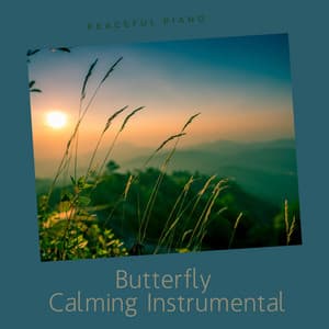 Take off Your Hat Sir - Otis Delmar and the Mementos