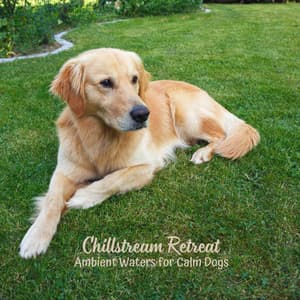 Chillstream Retreat: Ambient Waters for Calm Dogs - Calm Water Sounds