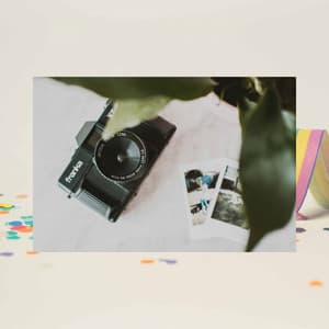 Jazz Organ - Background Music for October Mindfulness - Morning Chill Playlist