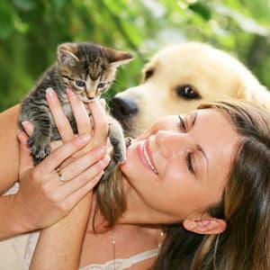 Pet's Paradise: Ambient Rain Soundscapes - Resting Baby Playlist