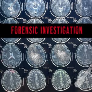 Forensic Investigation - Adam Saunders