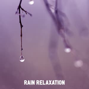 ! ! ! ! ! ! ! ! " Rain Relaxation " ! ! ! ! ! ! ! ! - Weather Factory