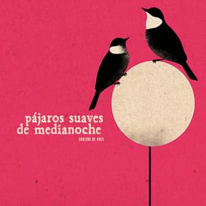 Pájaros Suaves de Medianoche - Sonidos De Aves