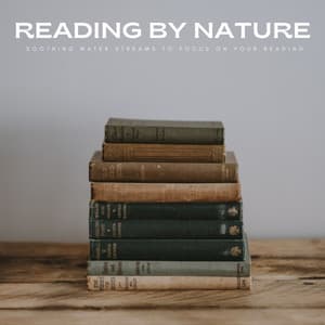 Reading By Nature: Soothing Water Streams To Focus On Your Reading - White Noise Universe
