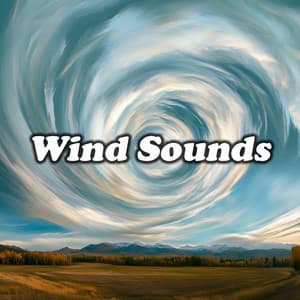 Wind Sounds - Wind Sounds