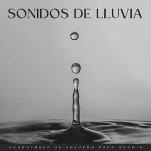 Sonidos De Lluvia: Soundtrack De Ensueño Para Dormir - Lluvia Relajante para Dormir