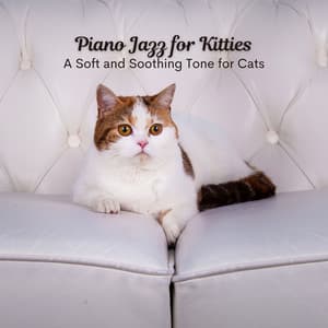 Piano Jazz for Kitties: A Soft and Soothing Tone for Cats - Lazy Sunday Jazz