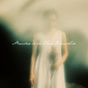 Mantra de la Fleur Immobile - Zen Méditation Ambiance