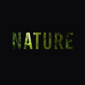 Nature - Nature Sounds
