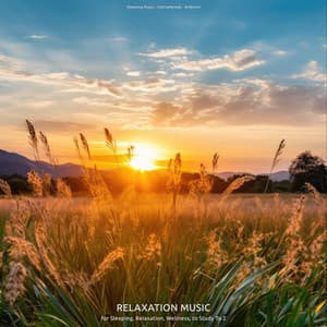 Relaxation Music for Sleeping, Relaxation, Wellness, to Study To 2 - Sleeping Music