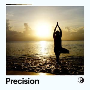 Precision - Deep Sleep Systems