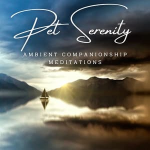 Rainy Pet Serenity: Ambient Companionship Meditations - The Premier Deep Sleep Rain Experts