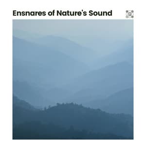 Ensnares of Nature's Sound - Worldwide Nature Studios
