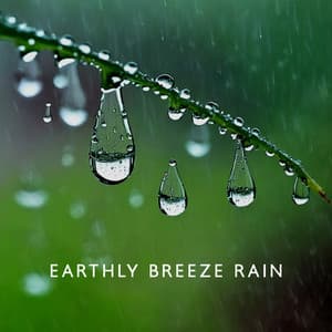 Earthly Breeze Rain: Tranquil Nature, Meditation, Sleep - The Flowing Mind