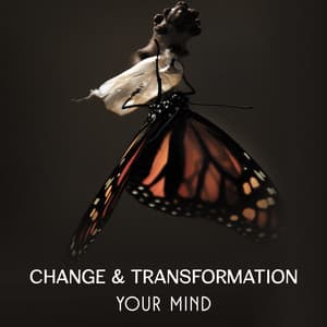 Change & Transformation Your Mind – Motivation Music for Moment of Creative Bliss, Live Your Life, True Nature of Human Emotions - Yoga Asanas Music Paradise