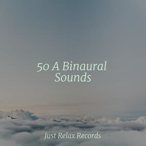 50 A Binaural Sounds - Meditación Guiada
