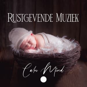 Rustgevende Muziek - Baby Shower Universe