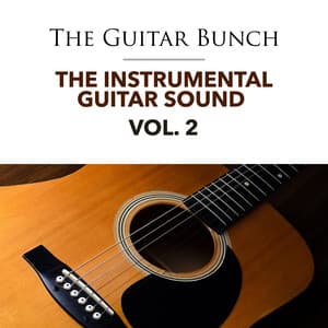 The Instrumental Guitar Sound - Vol. 2 - The Guitar Bunch