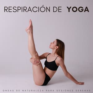 Respiración De Yoga: Ondas De Naturaleza Para Sesiones Serenas - Toque de la naturaleza