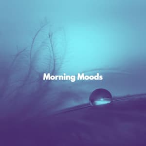 Morning Moods - Modern Jazz Playlist