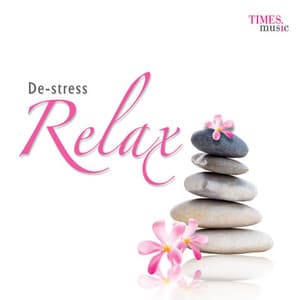 De Stress Relax - Salil Bhatt