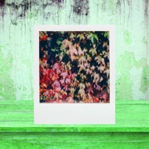 Playful Ambiance for Standard Events - Jazz for Hotel Lobbies