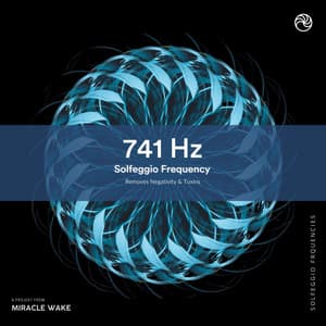 741 Hz Removes Toxins and Negativity - Miracle Waves
