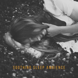 Soothing Sleep Ambience: Listen at Night, Ambient Space, Well Sleeping, Sleep Instantly - Deep Sleep Music Academy