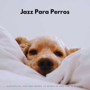 Clásicos Del Jazz Para Perros: Un Recreo De Café Con Tu Mascota - Academia de Jazz Instrumental Relajante