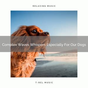 Complex Waves Whispers Especially For Our Dogs - Dog Relax