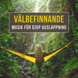 Välbefinnande: Musik för djup avslappning - Zen Musik Akademi