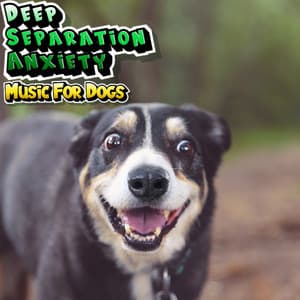Deep Separation Anxiety Lullabies For Dogs - Deep Separation Anxiety Music For Dogs