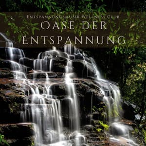 Oase der Entspannung: Entspannende Spa Musik - Entspannungsmusik Wellness Club