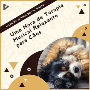 1 Hora de Terapia Musical Relaxante para Cães - Hora da Música do Cachorro