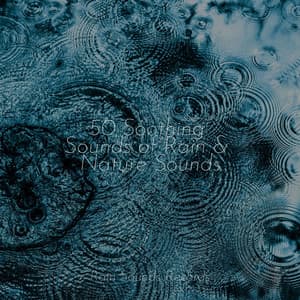 50 Soothing Sounds of Rain & Nature Sounds - Massage Therapy Music