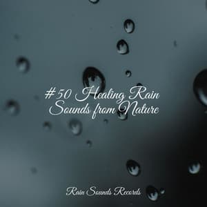 #50 Healing Rain Sounds from Nature - Sonido Del Bosque y Naturaleza
