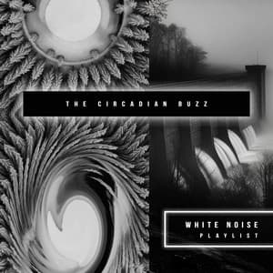 The Circadian Buzz - White Noise Playlist