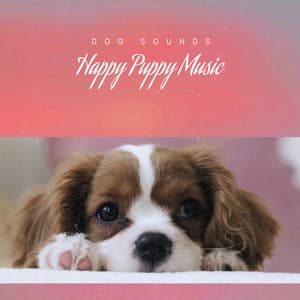 Happy Puppy Music - Dog Sounds