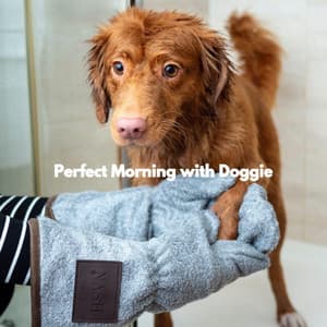 Perfect Morning with Doggie - Smooth Dinner Jazz