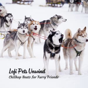 Lofi Pets Unwind: Chillhop Beats for Furry Friends - Lofi Tokyo