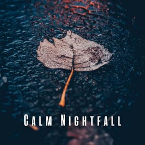 Calm Nightfall: Sleep to Rain on Puddle and Thunder Harmony - Night FX